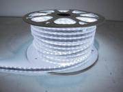 110V Atmosphere Waterproof 3528 LED Strip Lighting Cool White