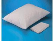 Allergy Free Pillow Protector L 21 x H .25 x W 36