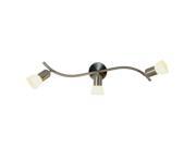 Monument 617622 Contemporary Canopy Ceiling Fixture Brushed Nickel 25 In.