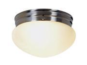 AF Lighting 617593 9 1 2 Inch W by 5 1 4 Inch H Contemporary Fluorescent Lighting Collection Flush Mount 2 Light Brushe