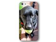 Black Lab Dog Puppy iPhone 5 and iPhone 5s Slim Phone Case