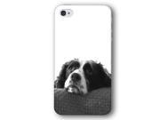Springer Spaniel Dog Puppy iPhone 4 and iPhone 4S Slim Phone Case