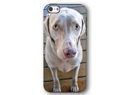 Weimaraner Dog Puppy iPhone 5 and iPhone 5s Armor Phone Case