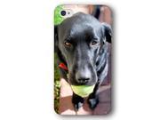 Black Lab Dog Puppy iPhone 4 and iPhone 4S Slim Phone Case
