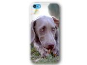Weimaraner Dog Puppy iPhone 5C Slim Phone Case