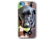 Black Lab Dog Puppy iPhone 5C Armor Phone Case