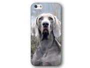 Weimaraner Dog Puppy iPhone 5 and iPhone 5s Slim Phone Case