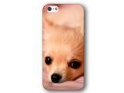 Chihuahua Dog Puppy iPhone 5 and iPhone 5s Slim Phone Case