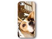 Beagle Dog Puppy iPhone 5 and iPhone 5s Slim Phone Case