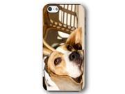 Beagle Dog Puppy iPhone 5 and iPhone 5s Armor Phone Case