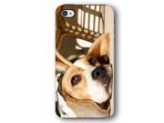 Beagle Dog Puppy iPhone 4 and iPhone 4S Armor Phone Case