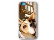 Beagle Dog Puppy iPhone 5C Slim Phone Case