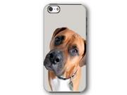 Boxer Dog Puppy iPhone 5 and iPhone 5s Armor Phone Case