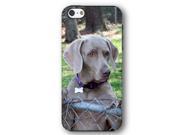 Weimaraner Dog Puppy iPhone 5 and iPhone 5s Armor Phone Case