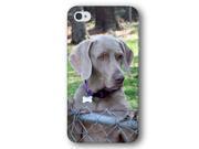 Weimaraner Dog Puppy iPhone 4 and iPhone 4S Slim Phone Case