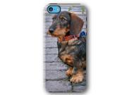 Dachshund Dog Puppy iPhone 5C Armor Phone Case