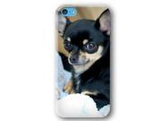 Chihuahua Dog Puppy iPhone 5C Slim Phone Case