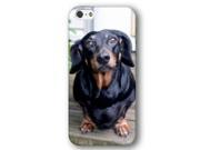 Dachshund Dog Puppy iPhone 5 and iPhone 5s Slim Phone Case