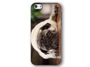 Pug Dog Puppy iPhone 5 and iPhone 5s Armor Phone Case
