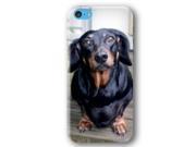Dachshund Dog Puppy iPhone 5C Slim Phone Case