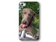 Weimaraner Dog Puppy iPhone 4 and iPhone 4S Slim Phone Case