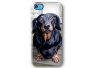 Dachshund Dog Puppy iPhone 5C Armor Phone Case