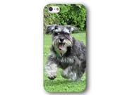 Miniature Schnauzer Dog Puppy iPhone 5 and iPhone 5s Slim Phone Case