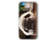 Pug Dog Puppy iPhone 5C Slim Phone Case