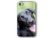 Black Lab Dog Puppy iPhone 4 and iPhone 4S Armor Phone Case