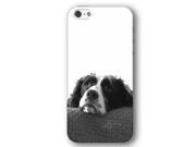 Springer Spaniel Dog Puppy iPhone 5 and iPhone 5s Slim Phone Case