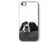 Springer Spaniel Dog Puppy iPhone 5 and iPhone 5s Armor Phone Case