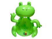 Frog Baby Bop Bag Infant Toy by Hedstrom Specialty 56 7402