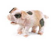 Grunting Pig Puppet 14 Puppet by Folkmanis 2991