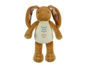 Nutbrown Hare Recordable Plush Guess How Much I Love You Stuffed Animal