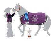 Winners Circle Set Western Horse Figure Not Included Collectible by Breyer