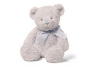 Peyton Teddy Blue 15 inch Baby Stuffed Animal by GUND 4059285