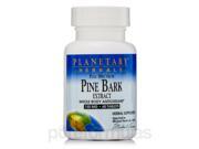 Full Spectrum Pine Bark Extract 150 mg 60 Tablets by Planetary Herbals