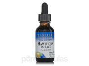 Full Spectrum Hawthorn Liquid Extract 1 fl. oz 29.57 ml by Planetary Herbals