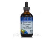 Echinacea Elderberry Syrup Alcohol Free 4 fl. oz 118.28 ml by Planetary He