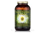 Green Protein Alchemy Magic Mint Powder 17.65 oz 500 Grams by HealthForce N