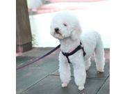 No pull Adjustable Dog Harness Cat Dog Car Safety Seat Belt Pet Puppy Vest Rope Jean Denim Leash Harness Adjustable Collar