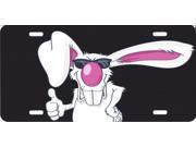 Cartoon Rabbit Centered Airbrush License Plate Free Names on this Air Brush