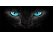 Blue Cat Eyes Photo License Plate Free Personalization on this plate
