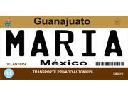 Mexico Guanajuato Photo License Plate Free Personalization on this Plate