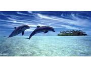 Dolphins Jumping Photo License Plate Free Personalization on this plate