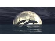 Dolphins In Moon Light Photo License Plate