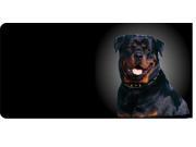 Rottweiler Dog Photo License Plate Free Personalization on this Plate