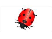 LadyBug On White License Plate Free Personalization on this plate