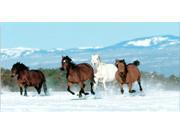 Horses Running In Snow Photo License Plate Free Personalization on this Plate