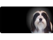 Offset Tibetan Terrier Dog Photo License Plate Free Personalization on this plate